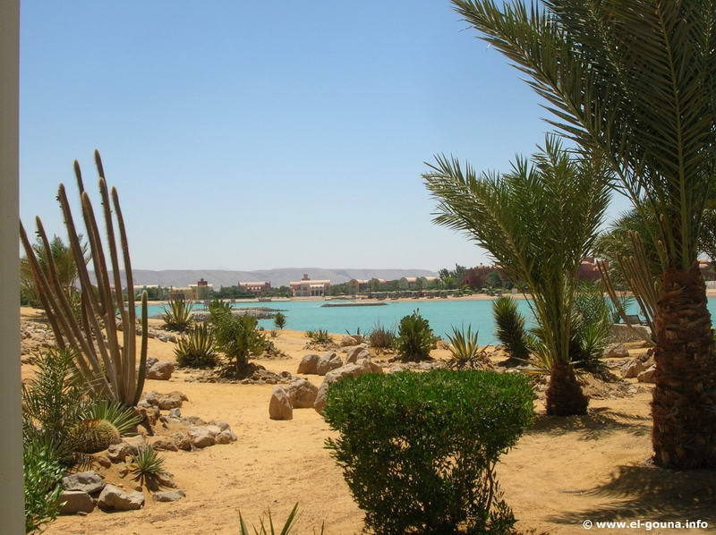 El Gouna Golf Club 8032